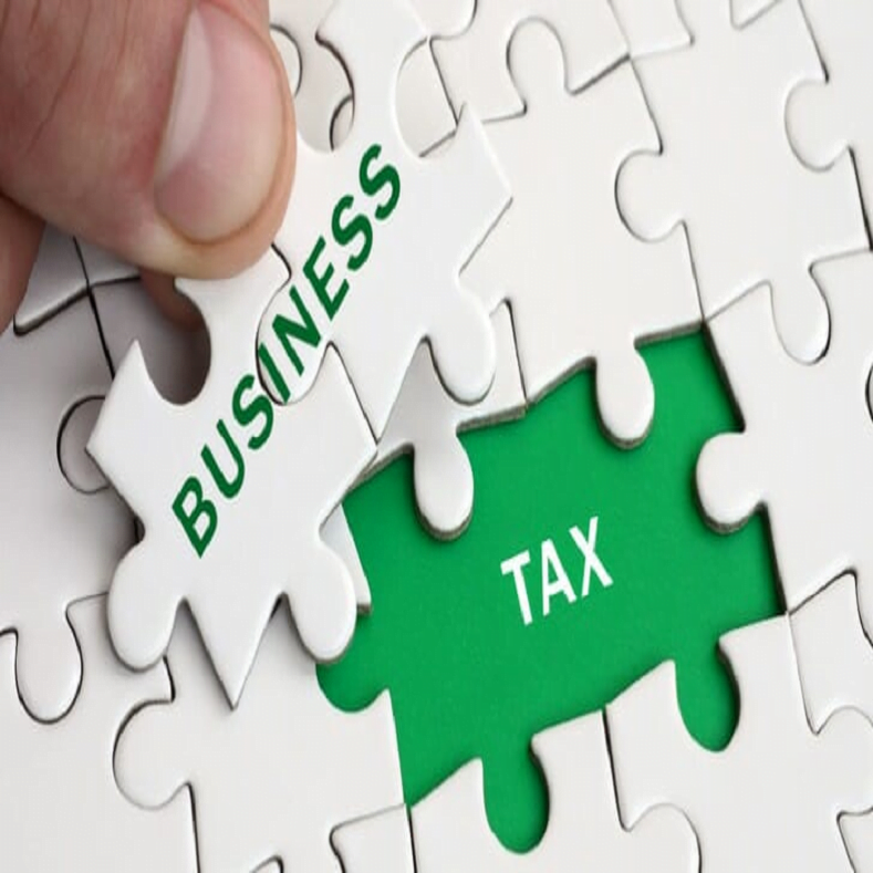 biz tax 2022